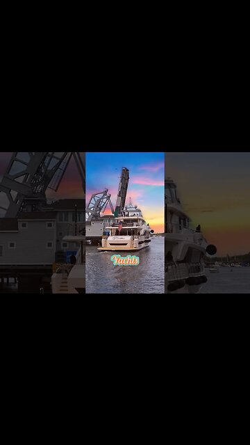 What is your favorite way to get on the water? 🛶⛵️🐳 #shorts #summervibes