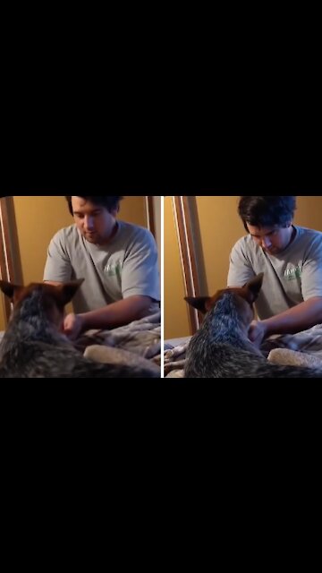 Guy forced to hand feed his adopted pup her water