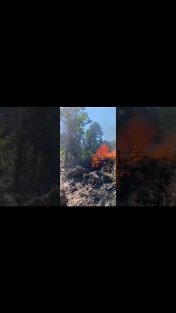 Land Clearing update 09/30/2022 burning trees