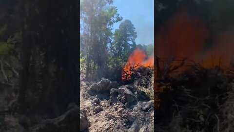 Land Clearing update 09/30/2022 burning trees