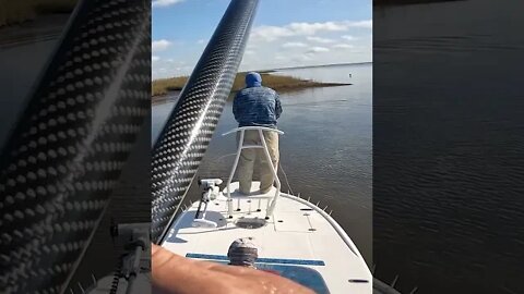 Awesome Redfish while Fly Fishing in Louisiana! #shorts