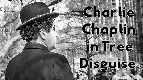 Charlie Chaplin in Tree Disguise - Daring Rescue and Narrow Escape😂🌴🥸