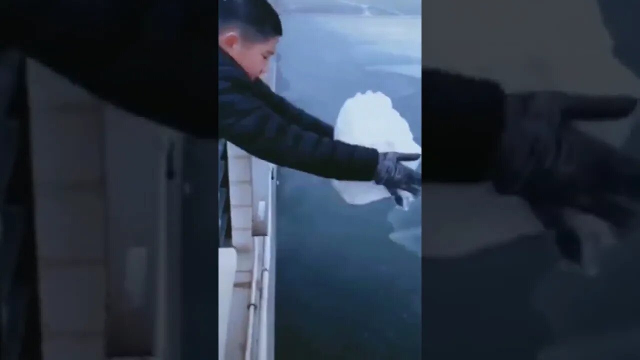 half a day with snow