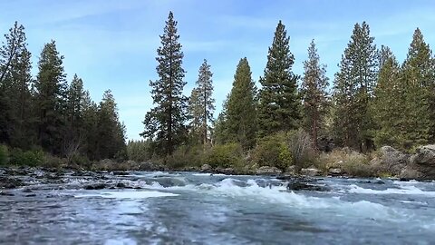 Strong Forest River Current for Relaxation, Meditation, or De-Stressing.