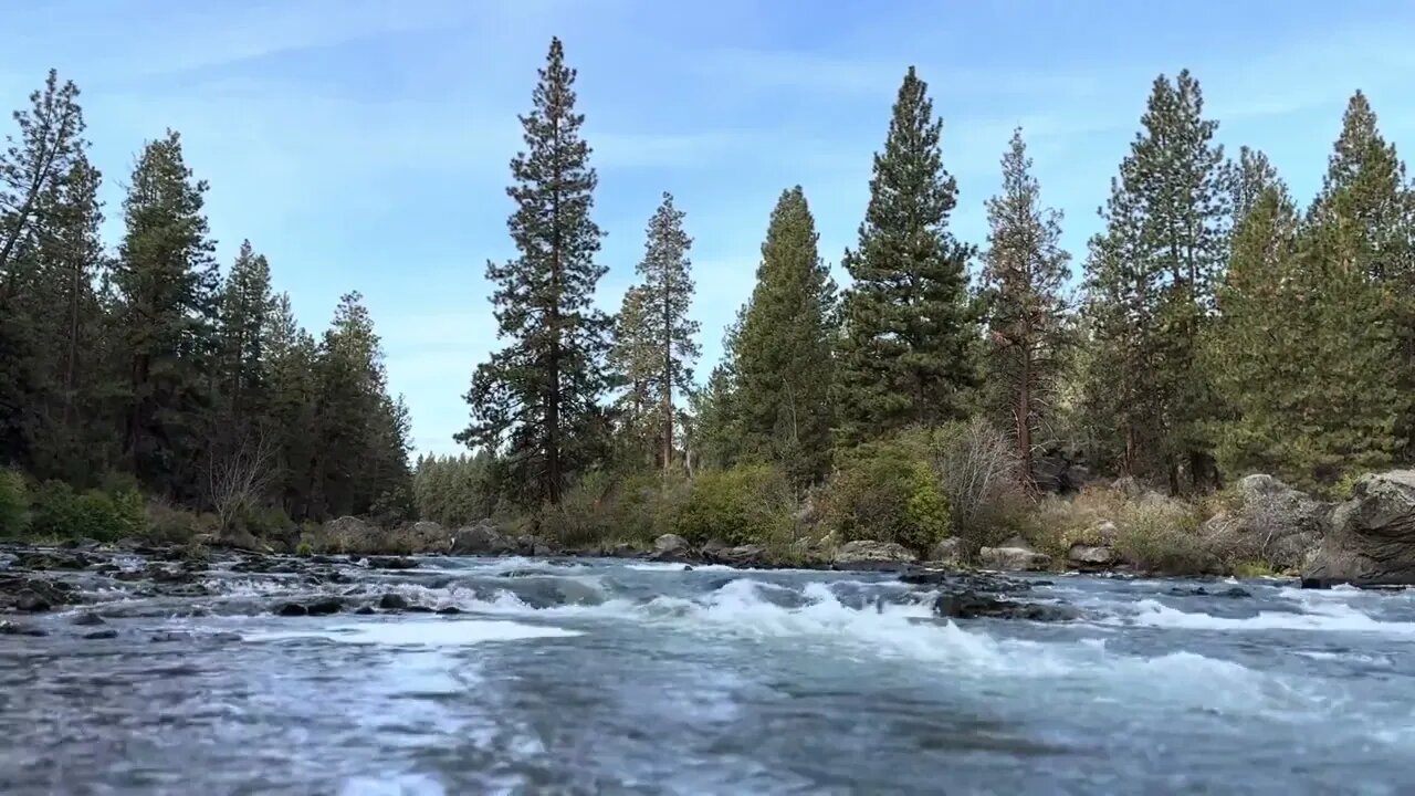 Strong Forest River Current for Relaxation, Meditation, or De-Stressing.