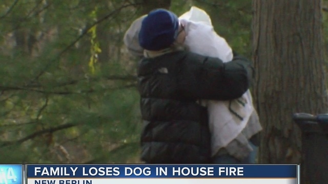 House destroyed, family dog killed in New Berlin hous fire