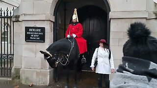 Hands of the reins #horseguardsparade