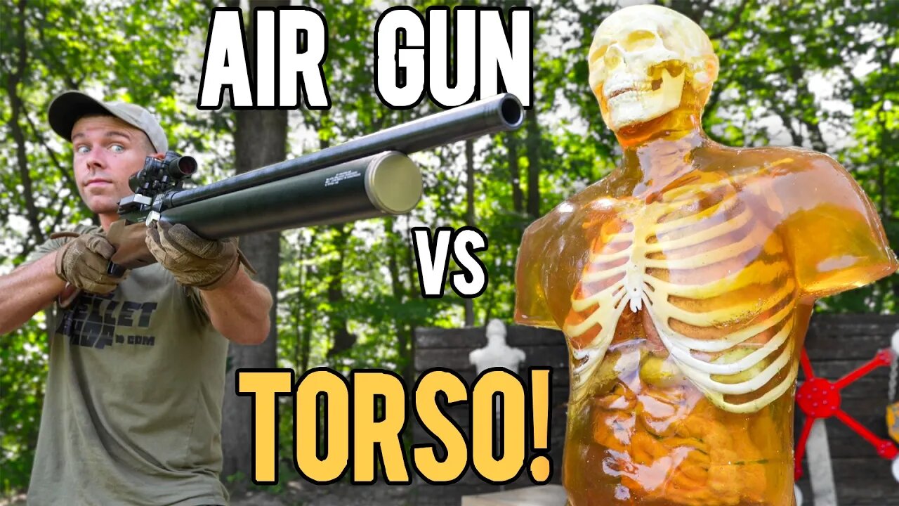 The World's Most POWERFUL Air Rifle vs Human Torso!! (72cal ZEUS)