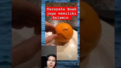 Ternyata jeruk juga punya kelamin 😂 Pijar aos #react #lucu #aneh #ngakak #funny