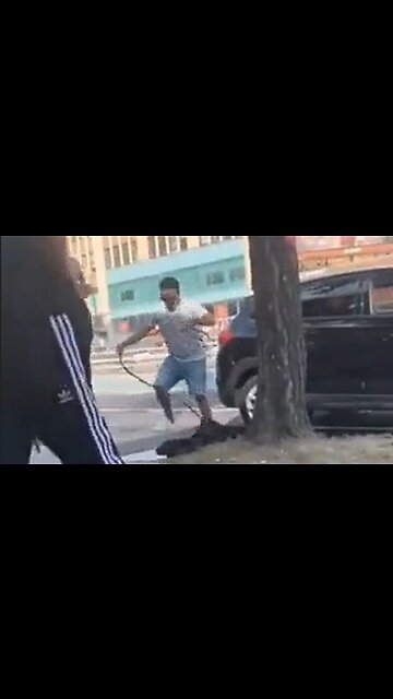 Korean Man Whips Thug That Was Taunting Him in the Bronx - HaloRock