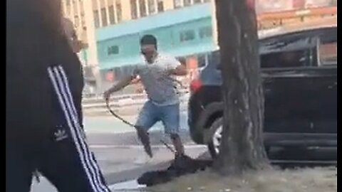 Korean Man Whips Thug That Was Taunting Him in the Bronx - HaloRock