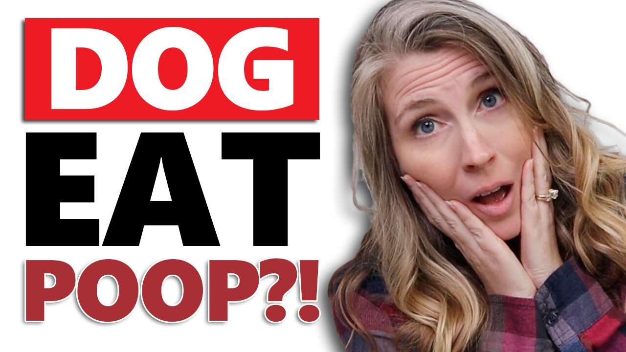 Does Your Dog Eat Poop?! | The Pet Parenting Reset, episode 19