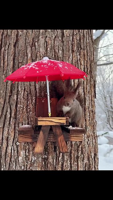 On cold days, don't forget to take care of animals that live outside.