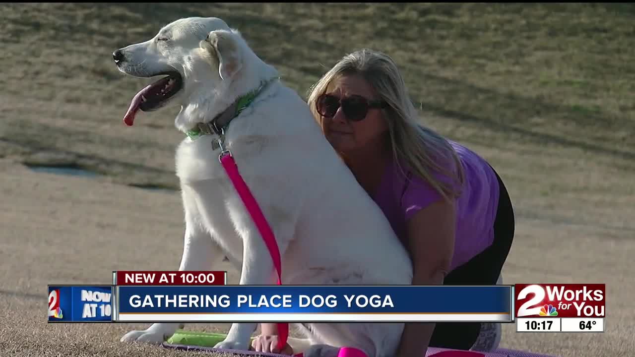 Dogs, owners do yoga at the Gathering Place