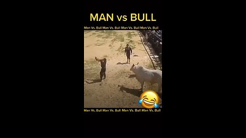 African man Vs bull 😂