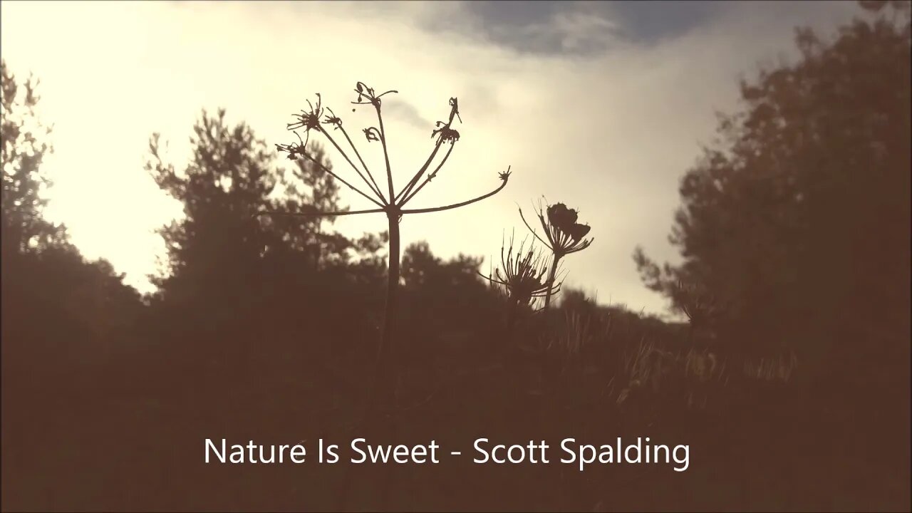 Nature is Sweet - Scott Spalding