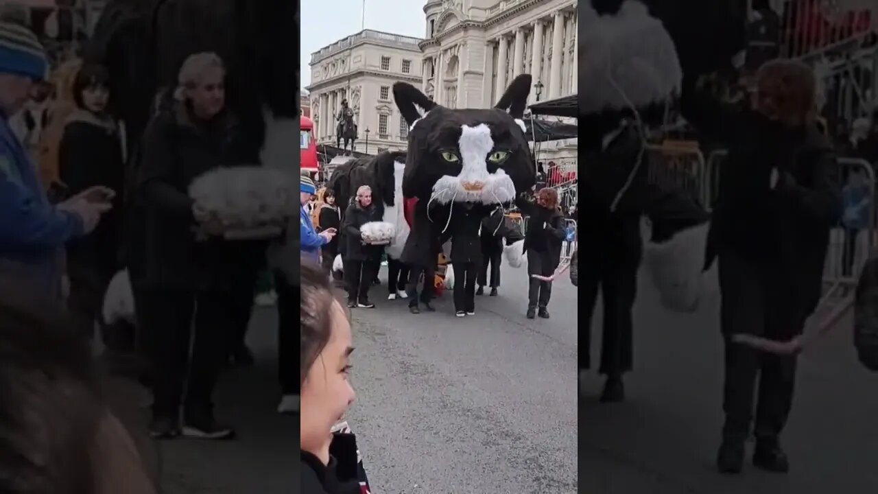 Cat and mouse new years day parade #horseguardsparade