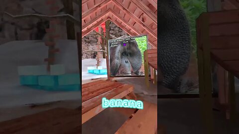 Nut sack gorilla tag #shorts #gorillatag #gtag #vr #gorillatagfunny #oculusquest