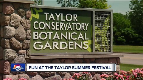 7 In Your Neighborhood: Live from the Taylor Summer Festival