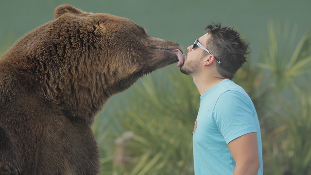 Florida Family Shares Their Home With 14 Bears