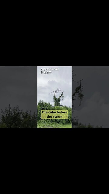 Hurricane Idalia is here!