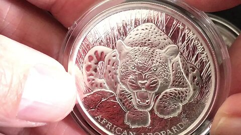 Second Chance Silver: Finding Great Deals At Coin Shows