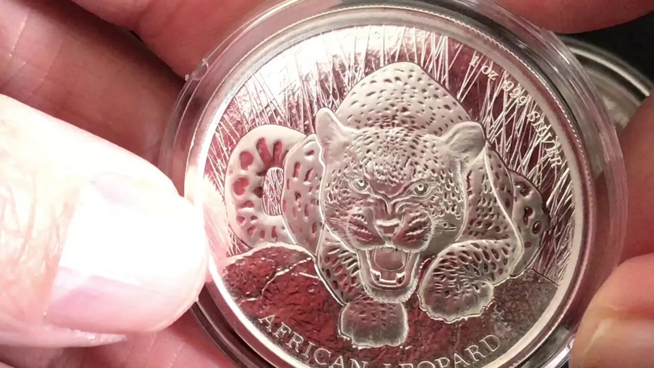 Second Chance Silver: Finding Great Deals At Coin Shows