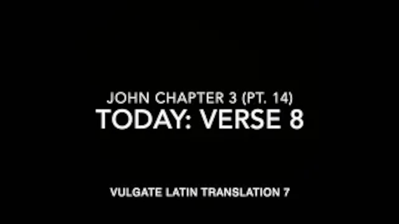 John Ch 3 Part 14 Verse 8 (Vulgate 7)