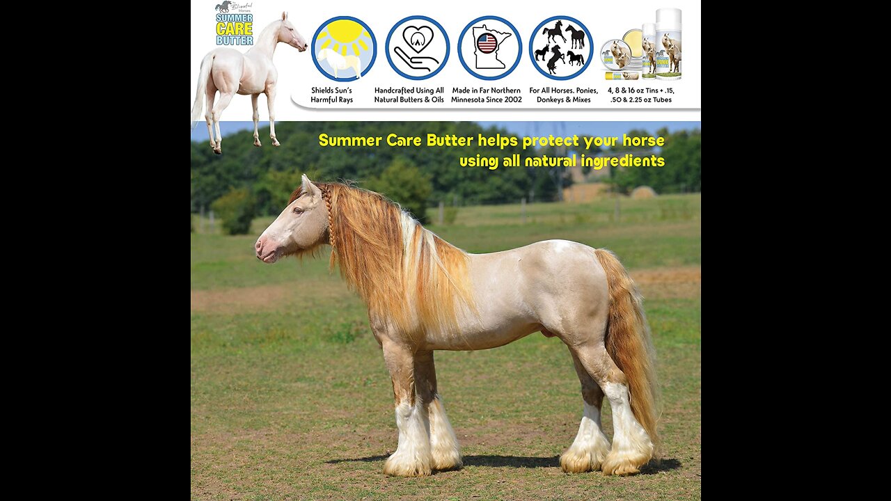 The Blissful Horses Summer Care Butter All Natural Sun Support for Your Horse