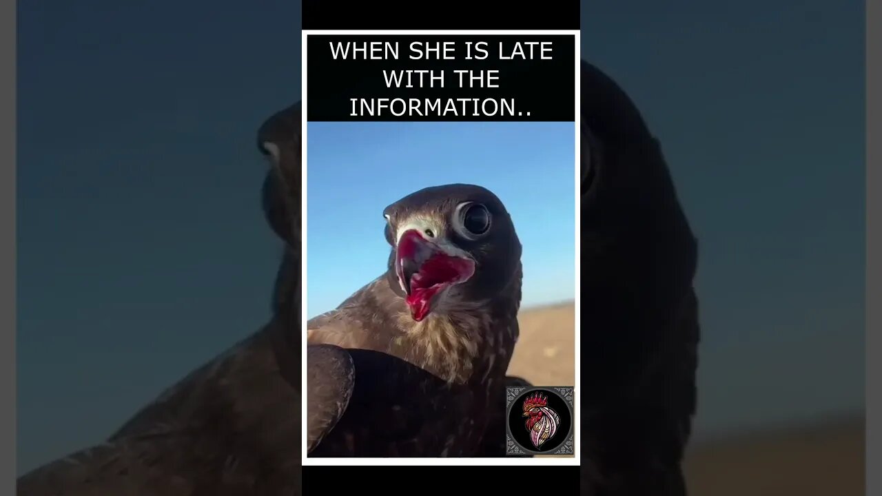 WHEN SHE IS LATE WITH THE INFORMATION