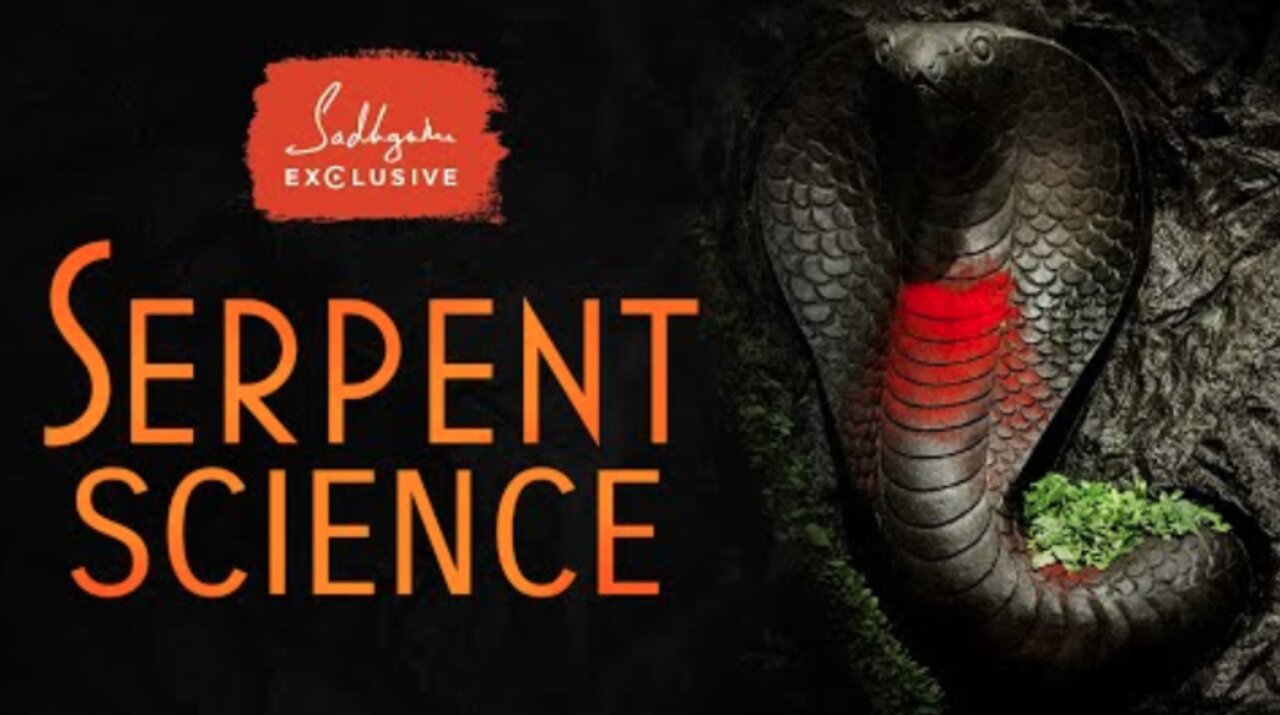 Serpent Science - The Truth about Snakes' Impact on Your Life | Sadhguru Exclusive #NagaDosha