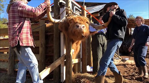 Cutting a tumor from a large Highlands face