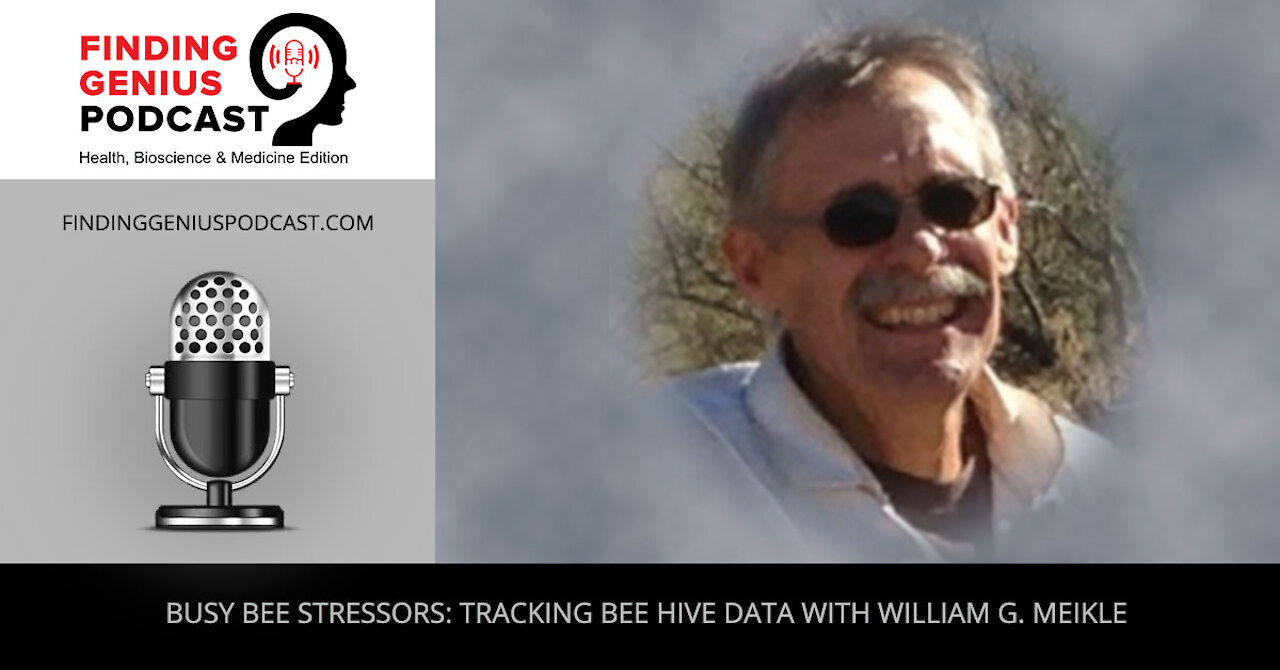 Busy Bee Stressors: Tracking Bee Hive Data with William G. Meikle