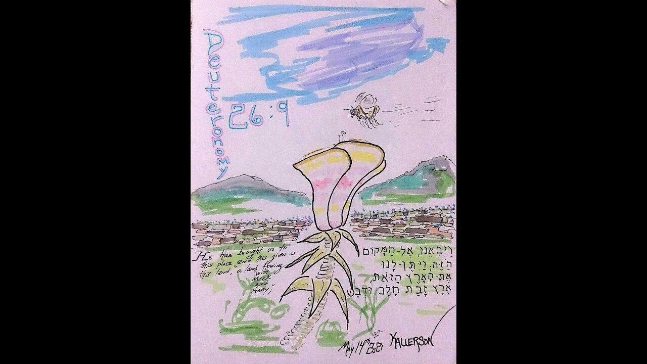 Deuteronomy 26:1-11 (The First of the Fruit)