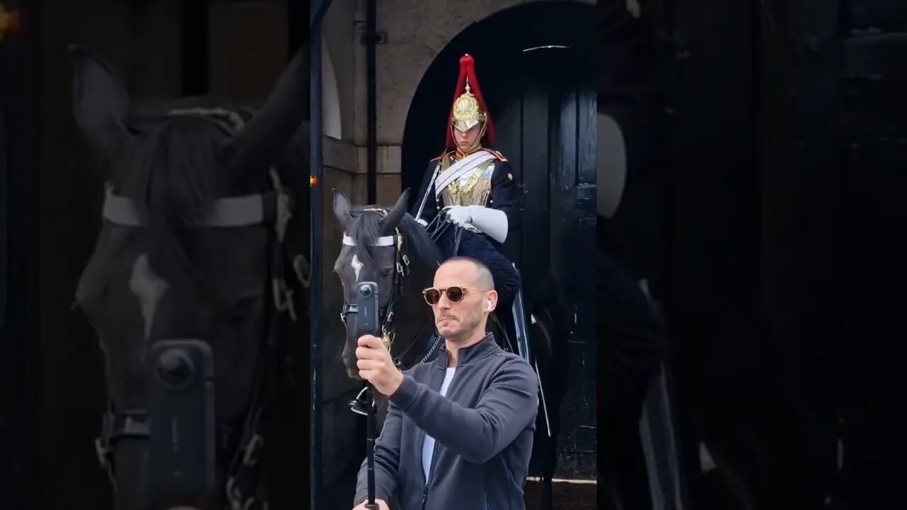 This how to freak how to freak the horse and guard #horseguardsparade