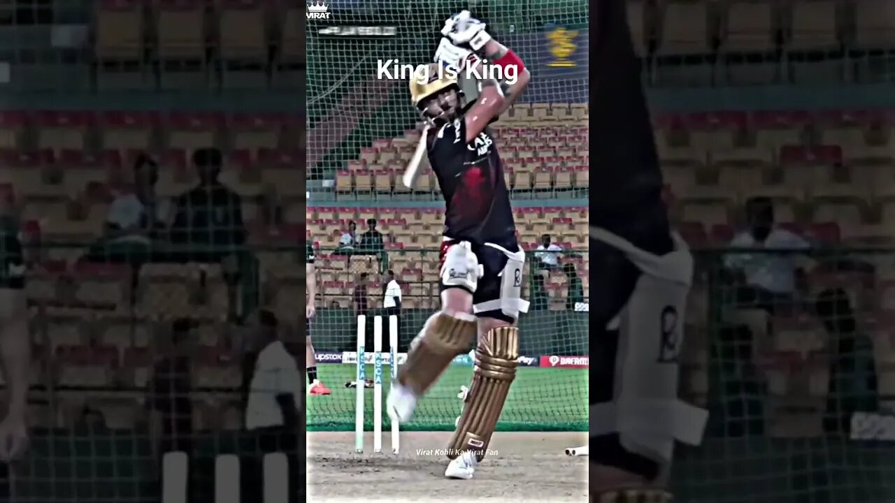 King Is King #viral #shorts #cricket #viral