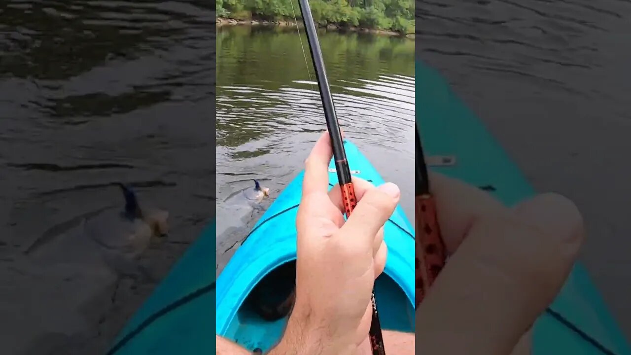 10 pounder from my kayak!