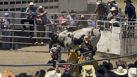 MEXICAN BULL RIDING IN CALIFORNIA (CRAZY)