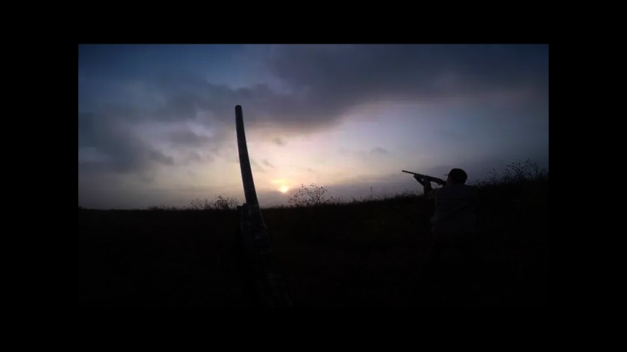Dove Opener 2021