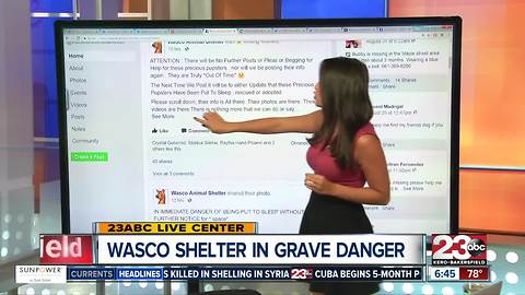 Wasco shelter in grave danger