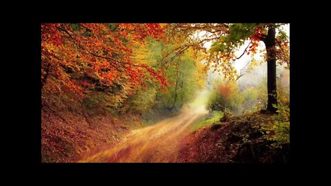 8 hours of rain on an autumn background. Helps fall asleep or set the mood for relaxing or studying.
