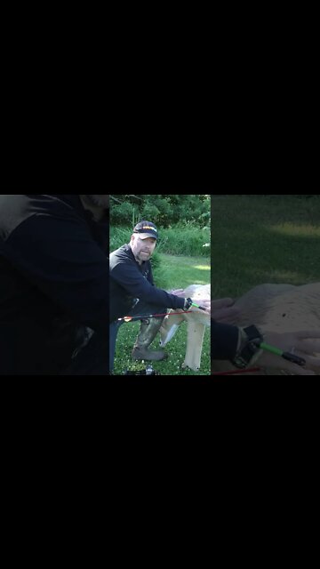 Bowhunting Basics #shorts #deer #deerhunting