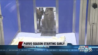 Parvo Season starting early