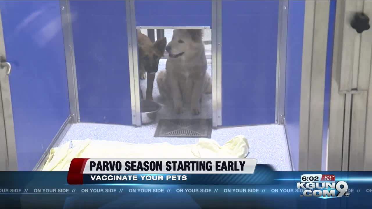 Parvo Season starting early