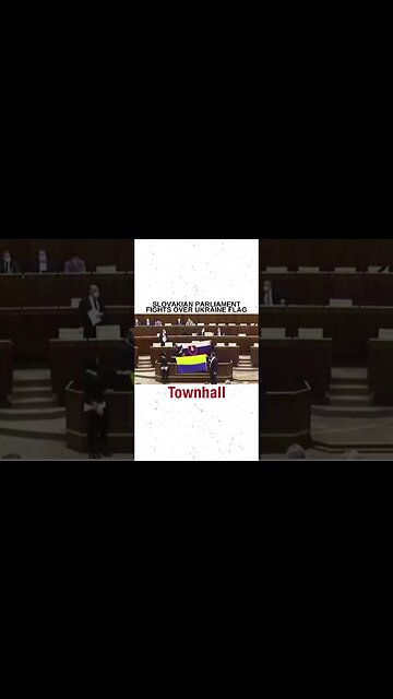 Slovakian parliament fights over what flag to fly