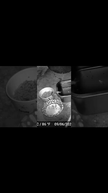 The Slug Is Thirsty! 🐌