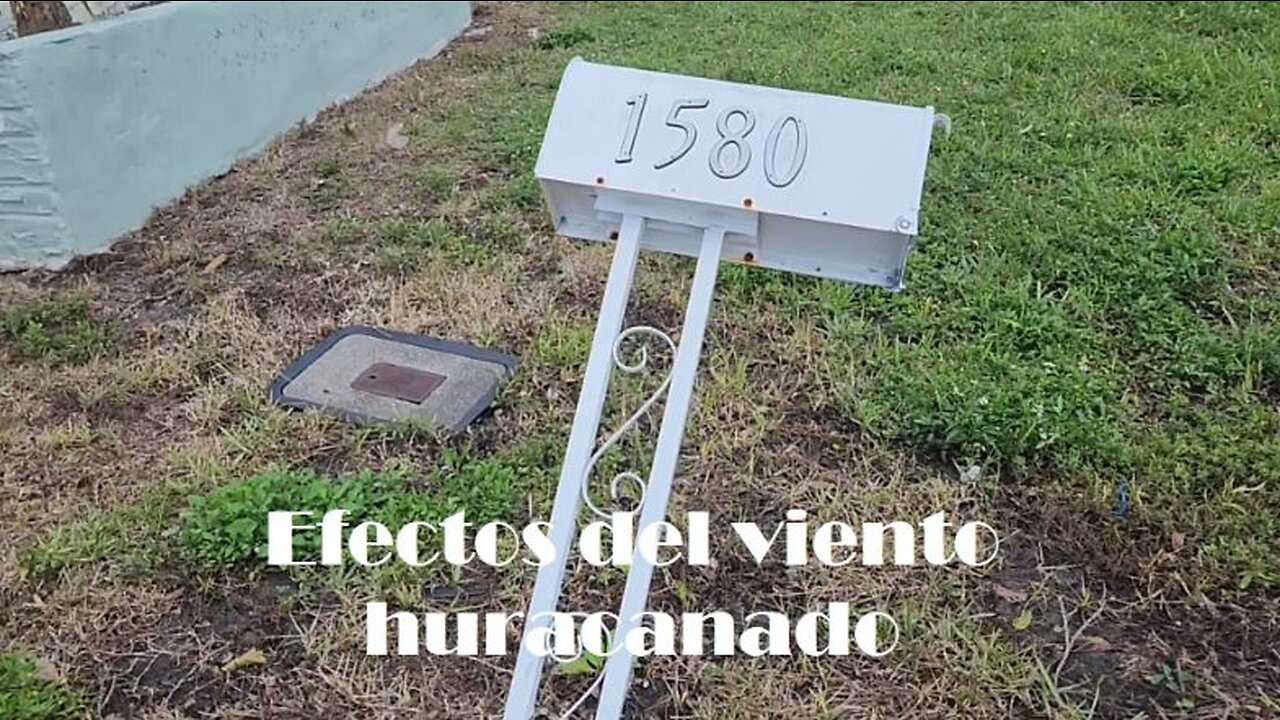 2023 Efectos del viento huracanado