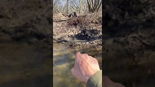 Beaver Foothold Set Results