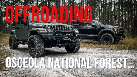 Offroading Osceola National Forest #offroad #offroading