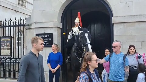 Don't touch the reins #horseguardsparade